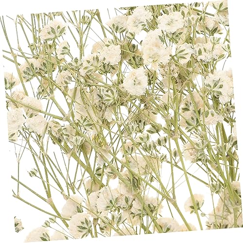 Kit Ramo de Flores Secas para Decoración miniatura 6