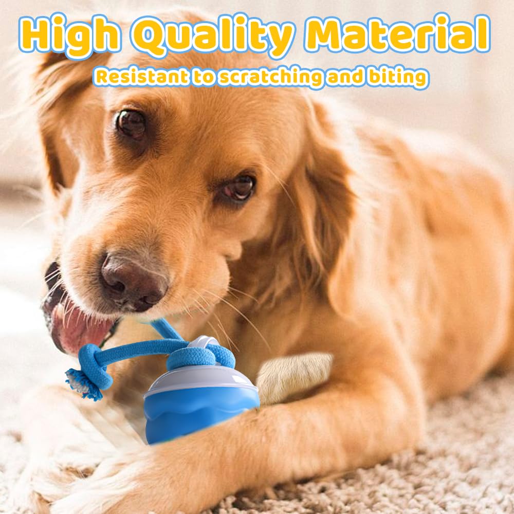 WDKXCN Interactive Dog Toys, 3 Modes Interactive Dog Ball - Image 3