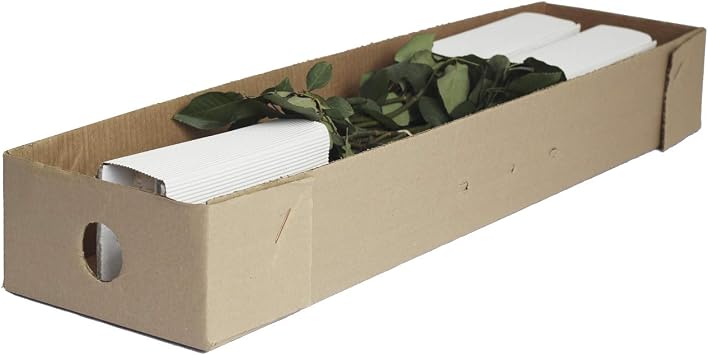 Ural Painted Roses 50 cm - 50 Stems