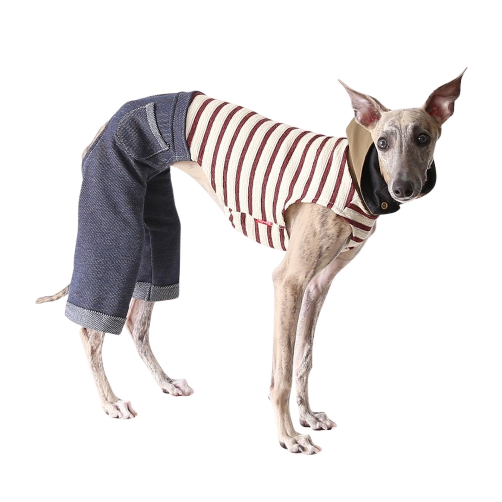 Greyhound Whippet Dog Outfit with Legs, Striped Denim Trousers, Italian Greyhound Clothes Jumpsuit For Medium Large Dogs (Brown, XS) — image 1