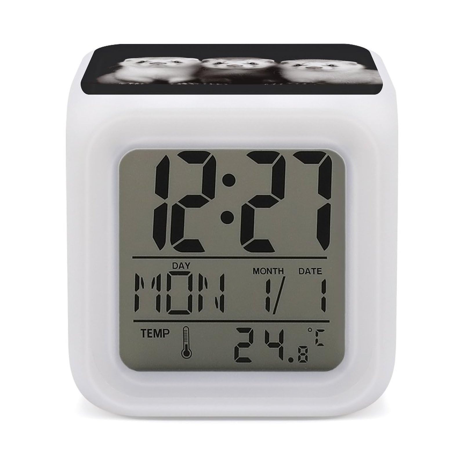 VstaDank Ferrets Alarm Clocks with 7 Color Changing Night Light Exquisite Bedroom Digital Clocks with LED Temperature Display Desk Clock Ok to Wake Clocks for Heavy Sleeper