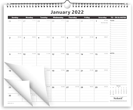 all black 12 december 15