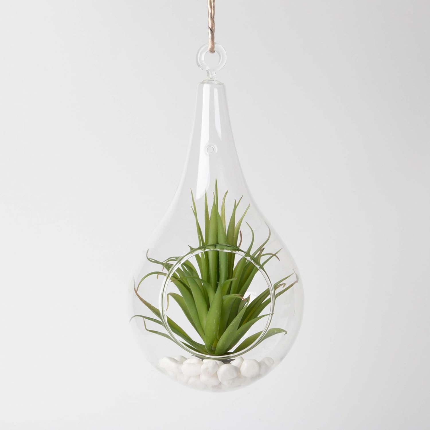 WGV Glass Hanging Plant Terrarium Bulk, Width 4.75", Height 9.5", Teardrop Pear DIY Air Succulent Planter Clear Tea Light Votive Candle Holder, Wedding Event Office Home Outdoor Decor, 6 Pieces
