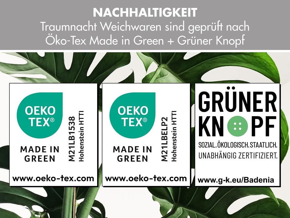 Traumnacht Cozy - Bettenset 4-Jahreszeiten, 1 x teilbare Bettdecke 135 x 200 Set und 1 x Kopfkissen 80 x 80 cm, Öko Tex zertifiziert, weiß, entwickelt in Deutschland ,( 2er Pack )