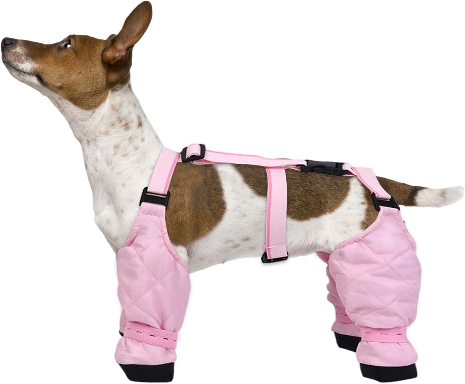 Dog Paw Boot Leggings, Suspender Boots for Dogs