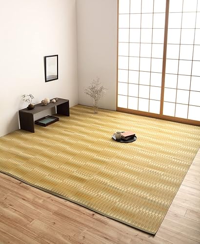 イケヒコ・コーポレーション ラグ カーペット マット 日和 江戸間3畳 約174×261cm ベージュ 日本製 洗える 除菌スプレー対応 アウトドア #2127503