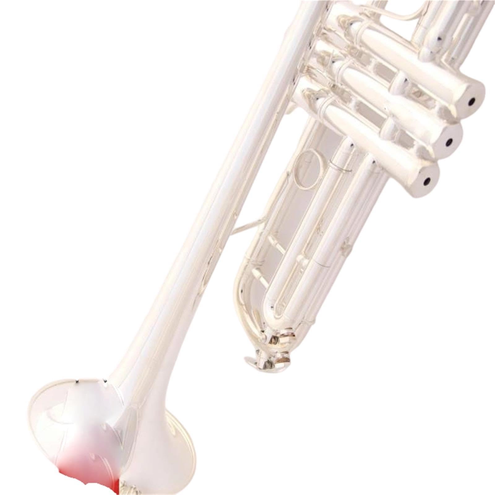Adult Trumpet Trompette en si bémol pour débutant