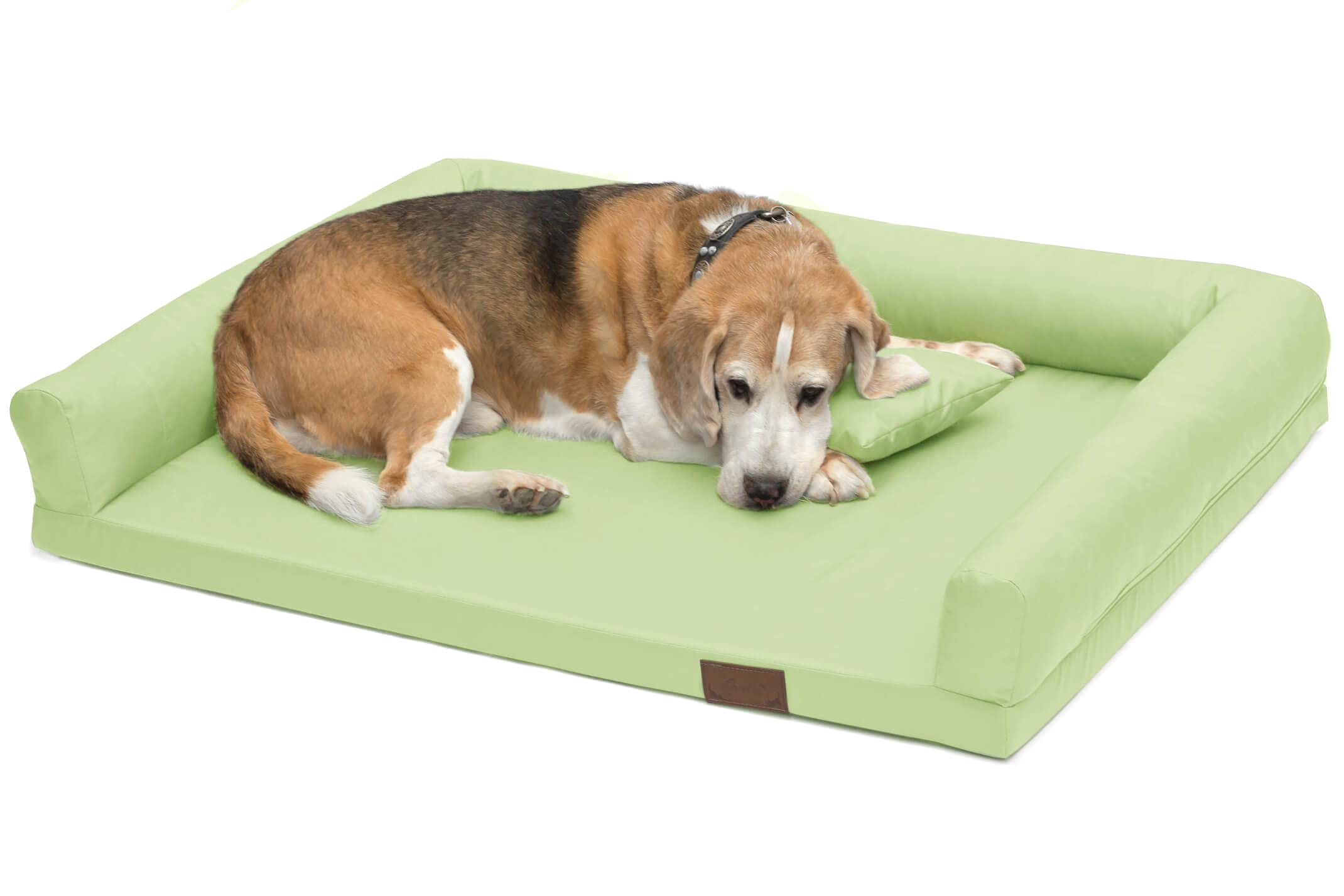 Juelle Cama Ortopédica para Perros Grandes, Colchón Ergonómico con Laterales para Perros Grandes, Funda Extraíble, Lavable a máquina, Lucky 2XL (Tamaño: L - 120 x 90 cm, Verde Guisante)