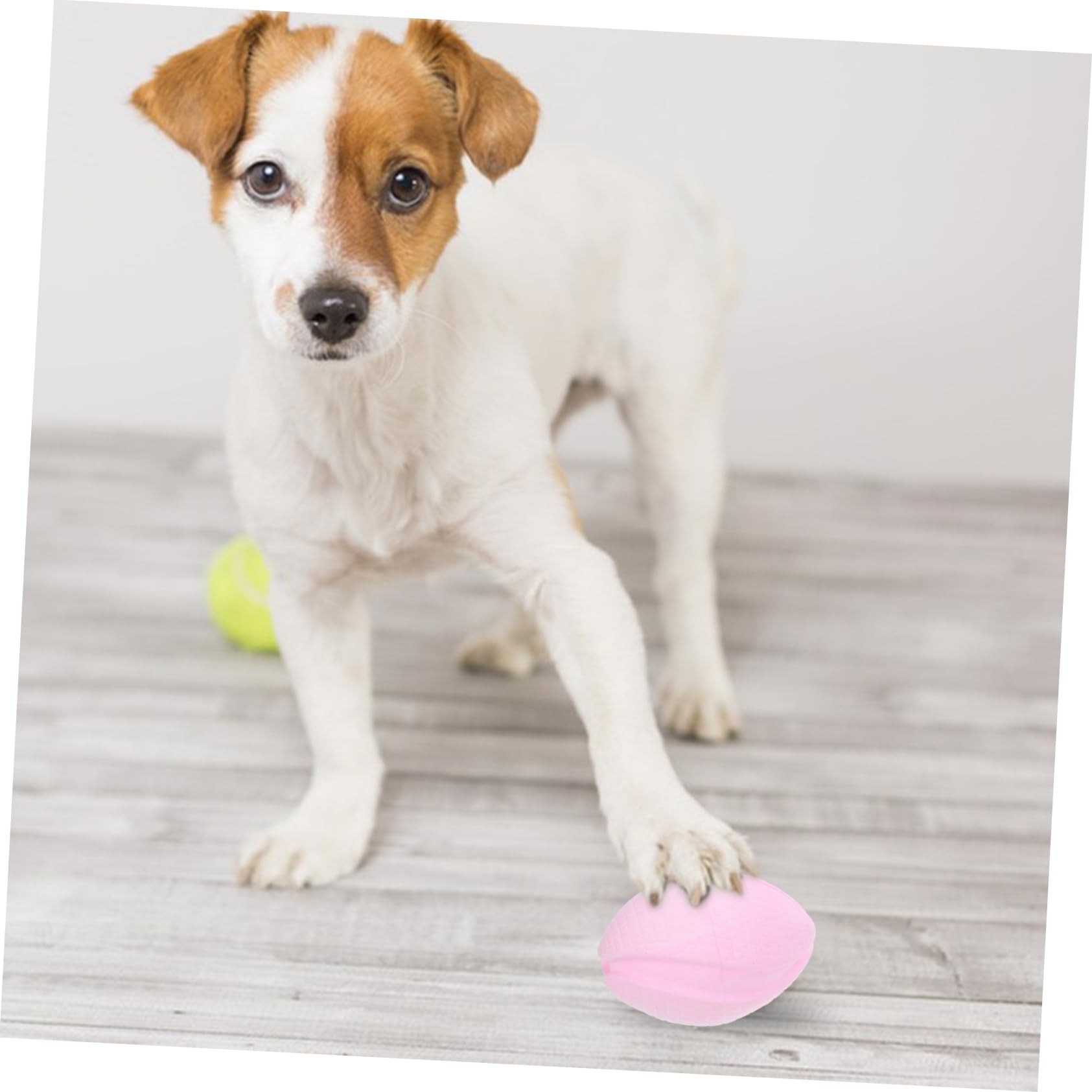 BESPORTBLE 5pièces Jouet à Mâcher pour Chien Balle De Dentition Flottante pour Entraînement Chiots Convient Aux Petits Moyens Et Chiens Divertissant Et