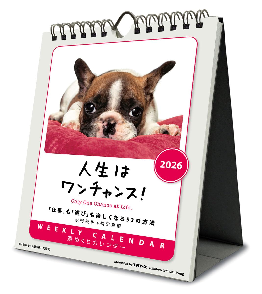 Amazon | トライエックス 人生はワンチャンス！ 卓上/壁掛 2026年