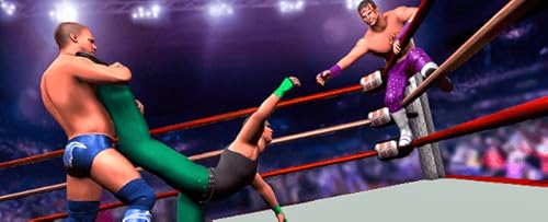 Real Wrestling Revolution 2022 - 3D