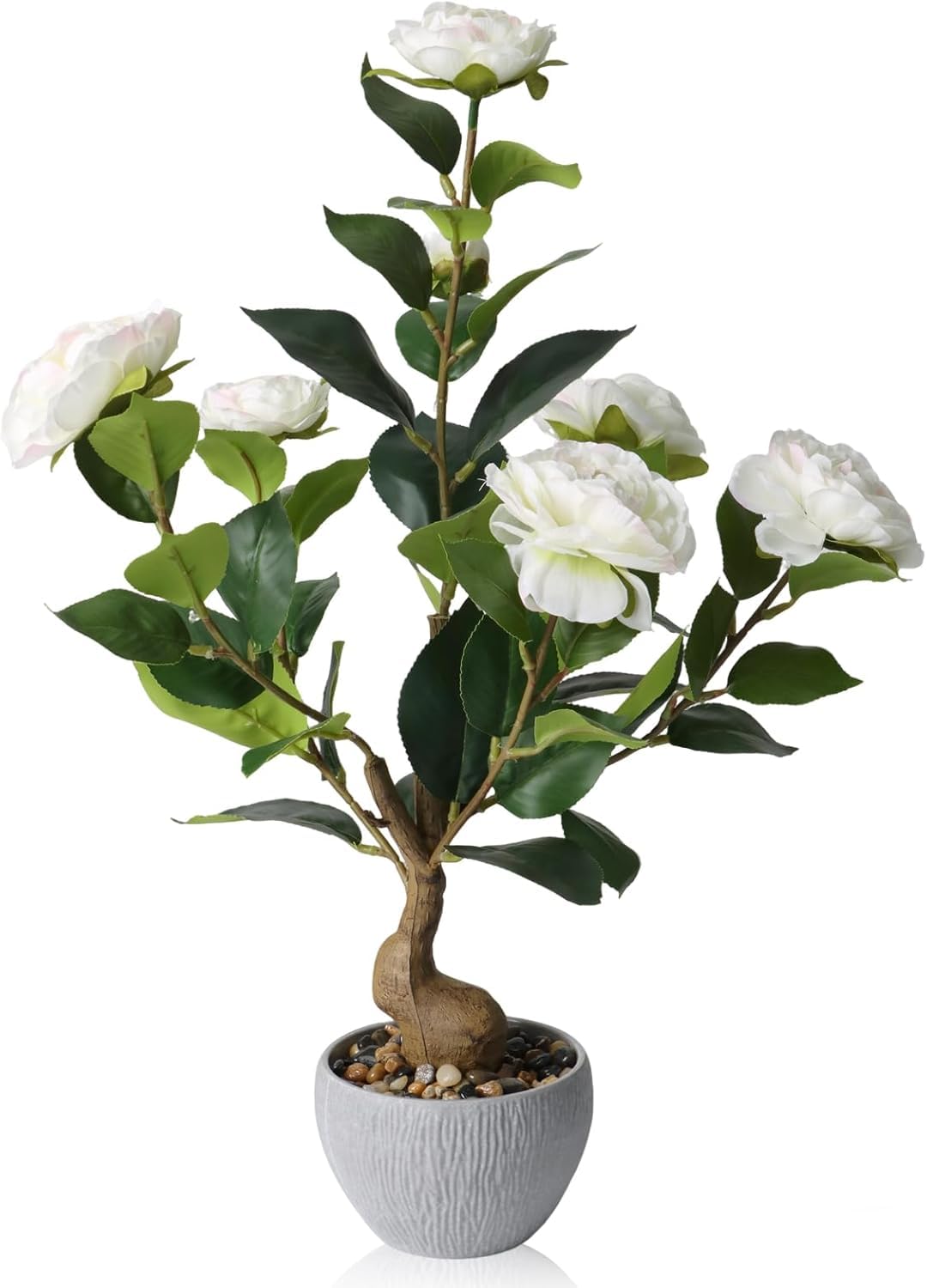 TOARTi Artificial Bonsai Potted Plants,White Camelia Flowers,Fake Potted Flowers Faux Desk Plants Decor,Realistic Spring Decorative Plant Shelf Decor Gifts for Woman Office Decor 19.5x13x36.5cm