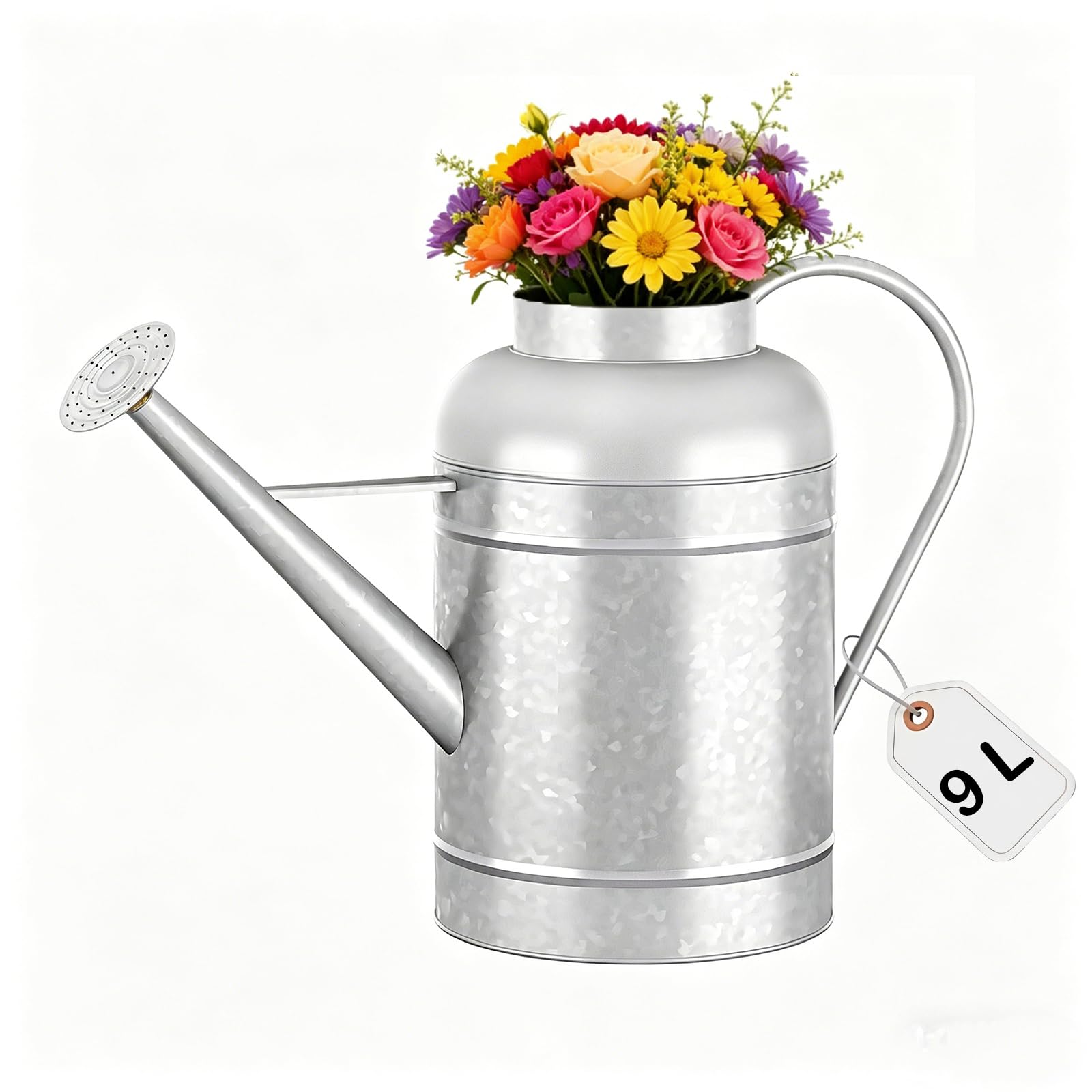Regadera galvanizada para plantas de interior al aire libre, cuenco de 2,3 galones, jarra de agua con caño extraíble, regadera de metal para plantas de interior y flores de jardín