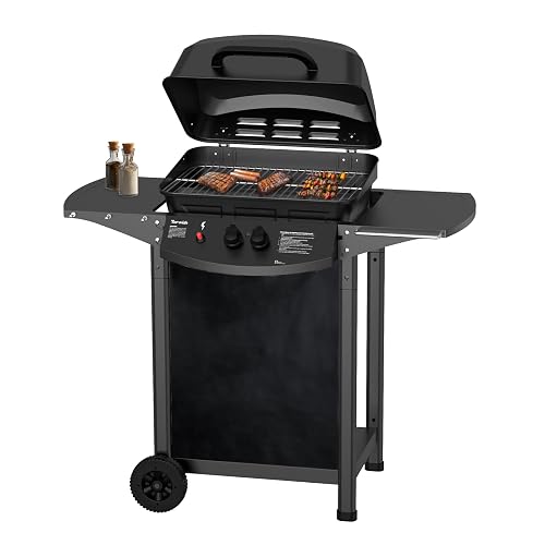 Topwish barbecue gaz, barbecues à gaz 2 brûleurs | Plancha