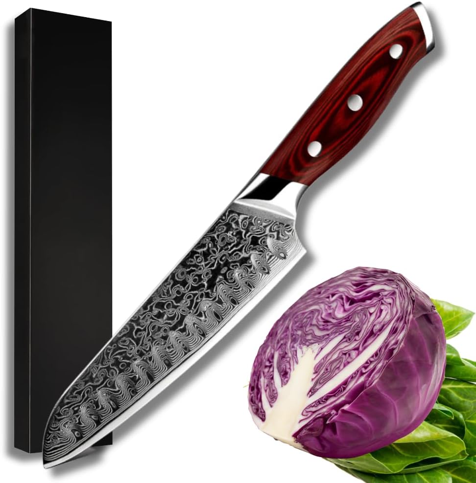 SHOKUNIN USA Santoku Chef Knife, Aus10 67 Layers Damascus Steel Knife Ultra-sharp Elite Kitchen Knives - 10 inch Japanese Chef Knife, Sashimi Knife, Chopping Knife, Vegetable Knife