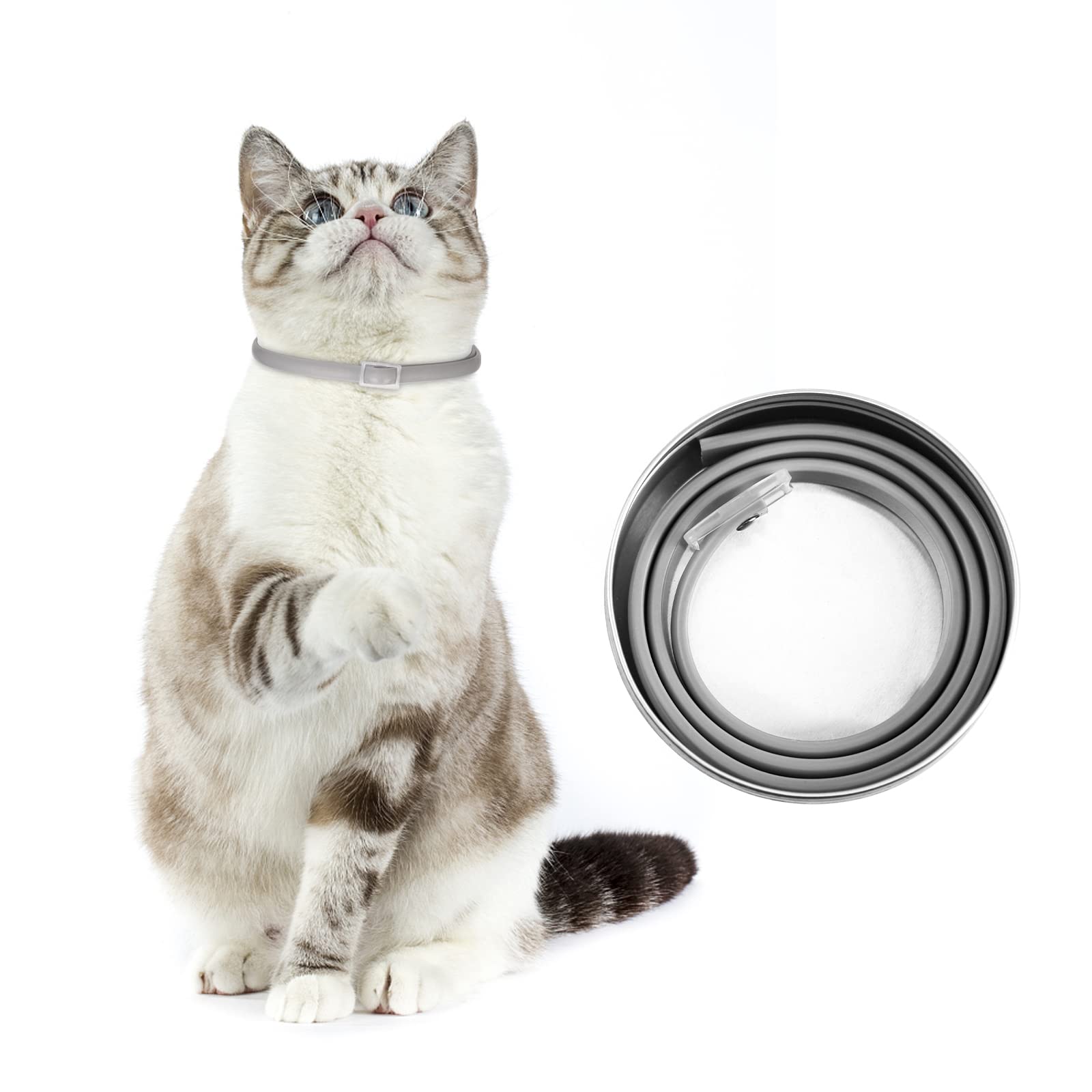 DEWEL Collar Gato contra Pulgas, Garrapatas y Mosquitos, Collar Antipulgas y Garrapatas 33 cm para Gatos y Perros Pequeños y Medianos, 8 Meses de Protección