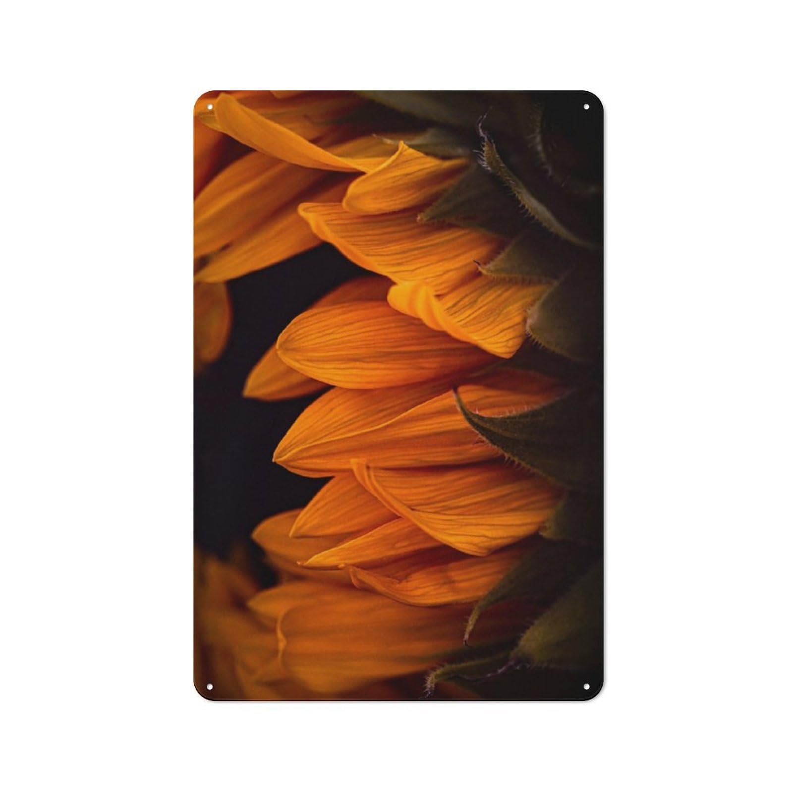 Junmoney Golden Petals Tin Wall Plaque 30X20cm With For Bar Or Restaurant, Suited To Bar Decor Enthusiasts