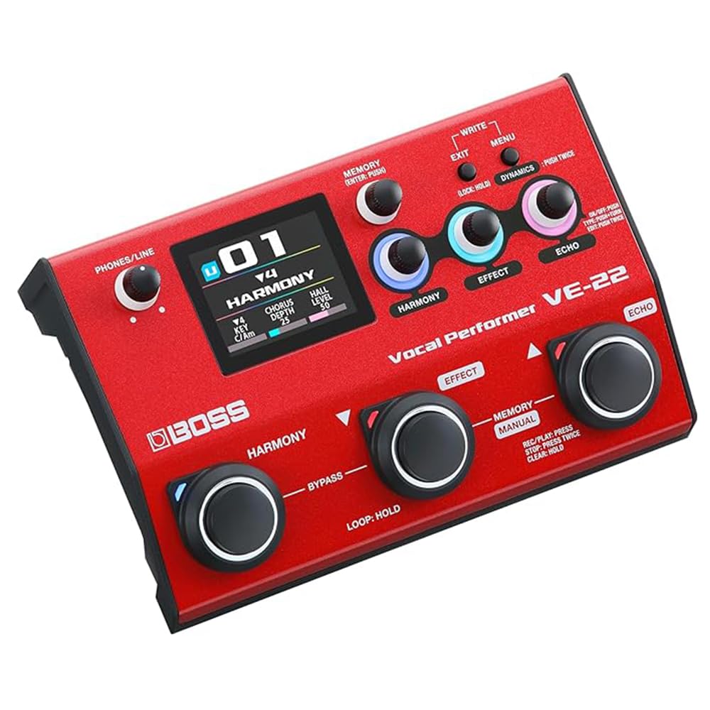Amazon.com: Boss VE-22 Vocal Performer Bundle w/ 2-Pack Pig Hog