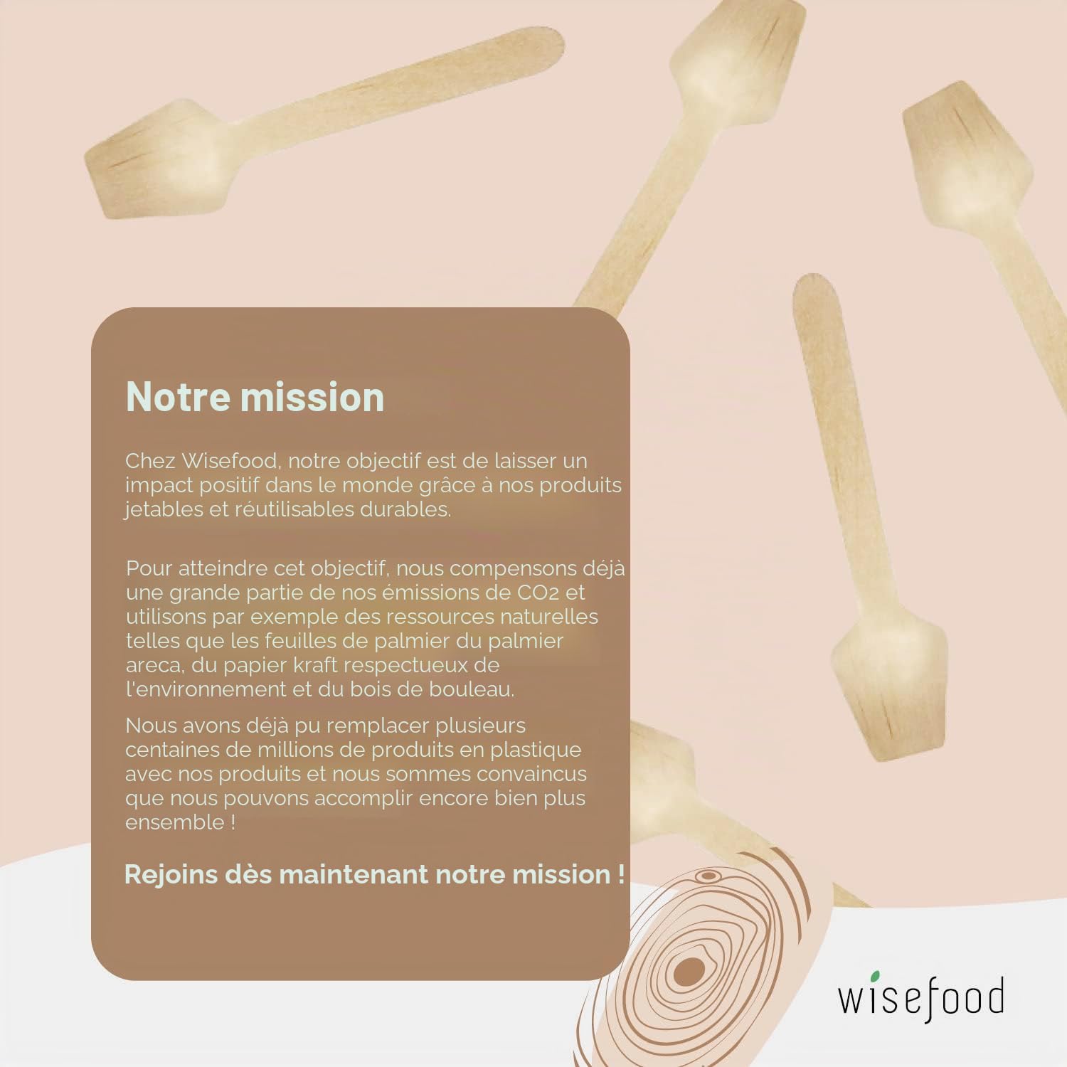 wisefood Cuillères à glace en bois - Lot de 100 cuillères jetables de 9,5 cm - Cuillères à dessert biodégradables - Naturelles, stables, respectueuses de l'environnement - Mini cuillères pour verres à