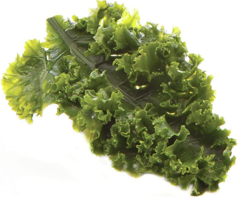 Artificial Kale Leaf Garnishing Green - 6" L