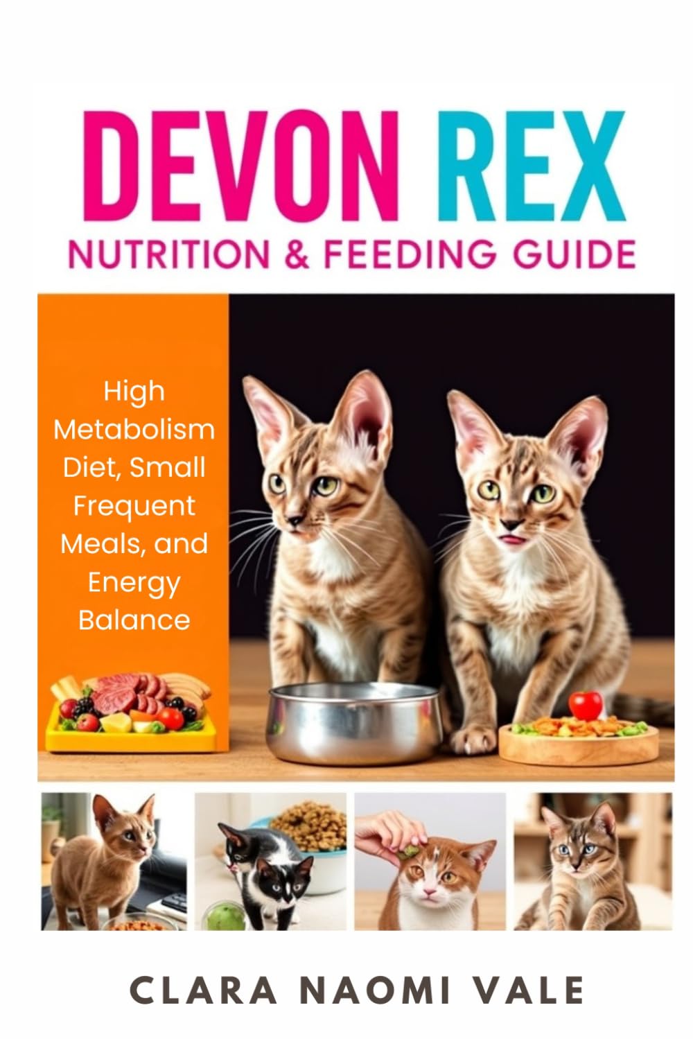 Devon Rex Nutrition & Feeding Guide: High Metabolism Diet, Small Frequent Meals, and Energy Balance