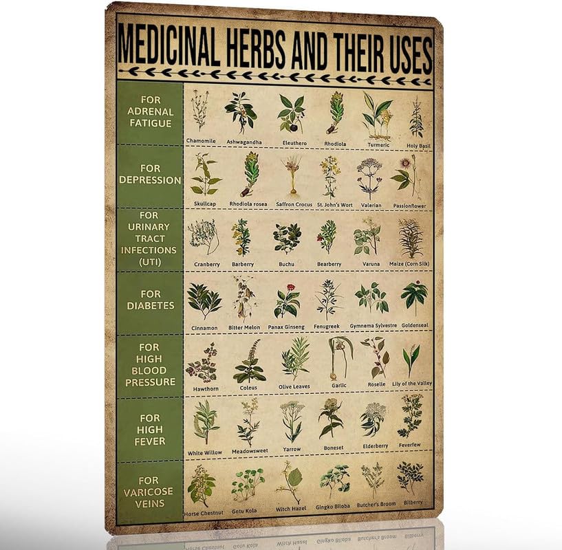 VelfDuel Vintage Herb Knowledge Metal Tin Sign Homesteading Knowledge Poster Plant Signs Planting Guide Chart Herb Decor Medicinal Herbs and Their Uses Posters 8x12 Inch