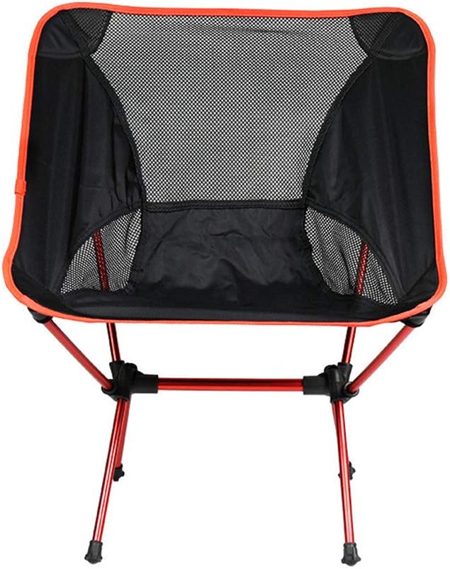 sedia da trasporto per 300lbs