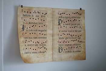 61sTtF09wOL._AC_UF350,