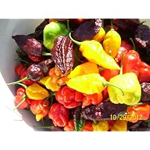 100 Hot Pepper Mix Seeds, 16 Varieties Heirloom Non-GMO, Habanero, Tabasco, Jalapeno, Scotch Bonnet,Trinidad Peppers,Ghost Pepper and More 10 Packs