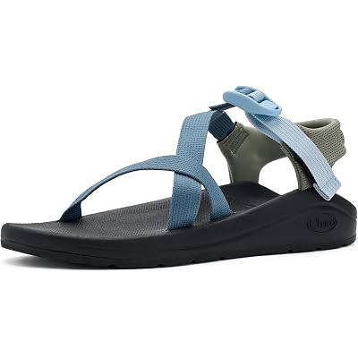Chaco Cushz