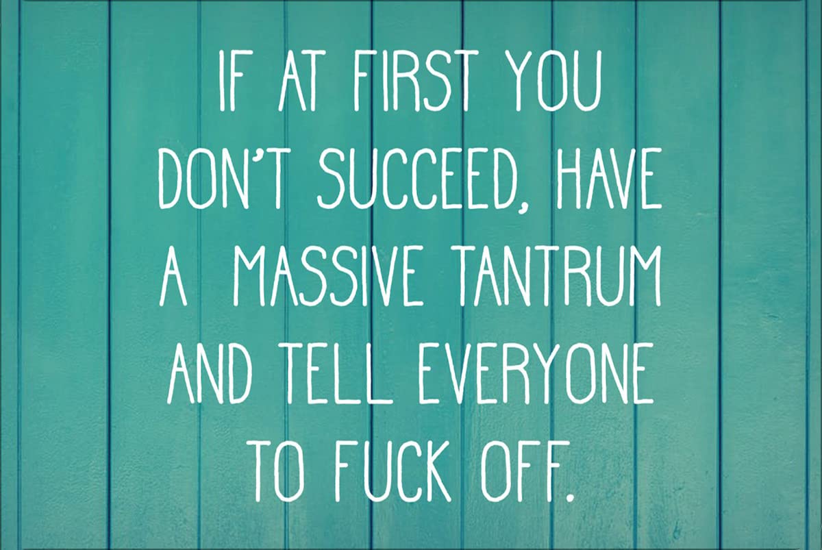 Nuboxx HAVE A TANTRUM AND TELL EVERYONE TO FUCK OFF Vintage Novelty Funny Bathroom Parlor Retro Home Gift Yard Garden Celebration Farm Courtyard Posters Metal Tin Signs Wall Decor 8x12 Inch