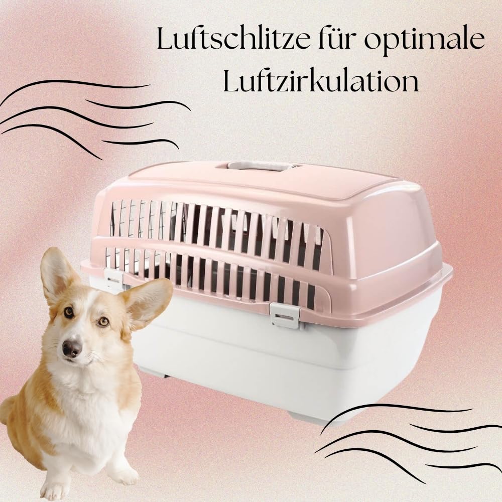 2er Set Transportbox IATA Flugbox Flugzeug Hundebox Hunde Transportbox Hund für 2 Tiertransportbox Hundetransportbox Gr. L