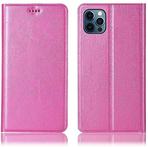 Étui à clapet iPhone 12 Pro Max antichoc pour éviter les rayures