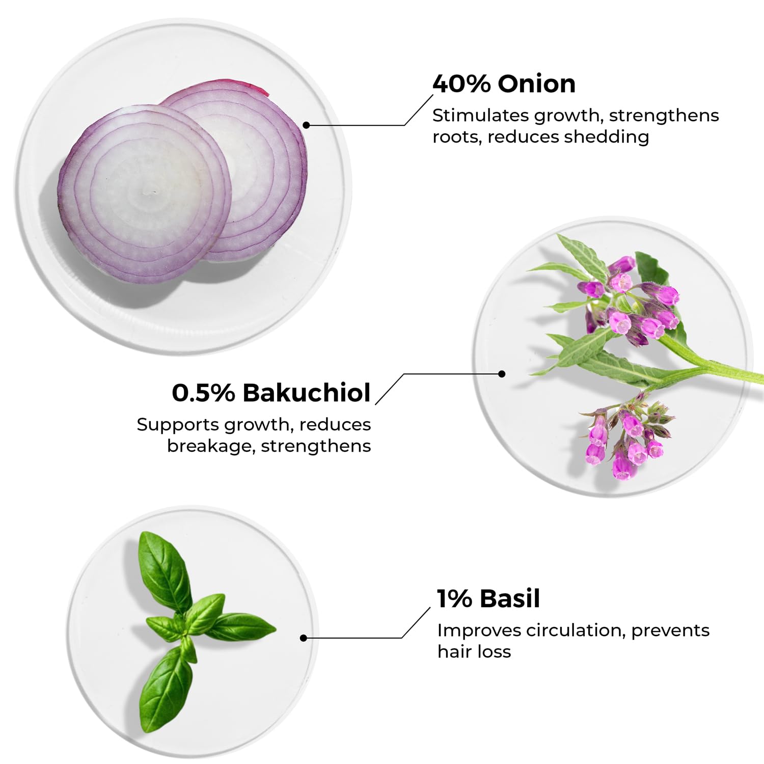 Brillare 40% Onion Oil shots for Hair Fall Reduction with 0.5% Bakuchiol & 45% Coconut Oil for 100% scalp hydration | Visible Hair Fall Reduction in Just 15 Days 3