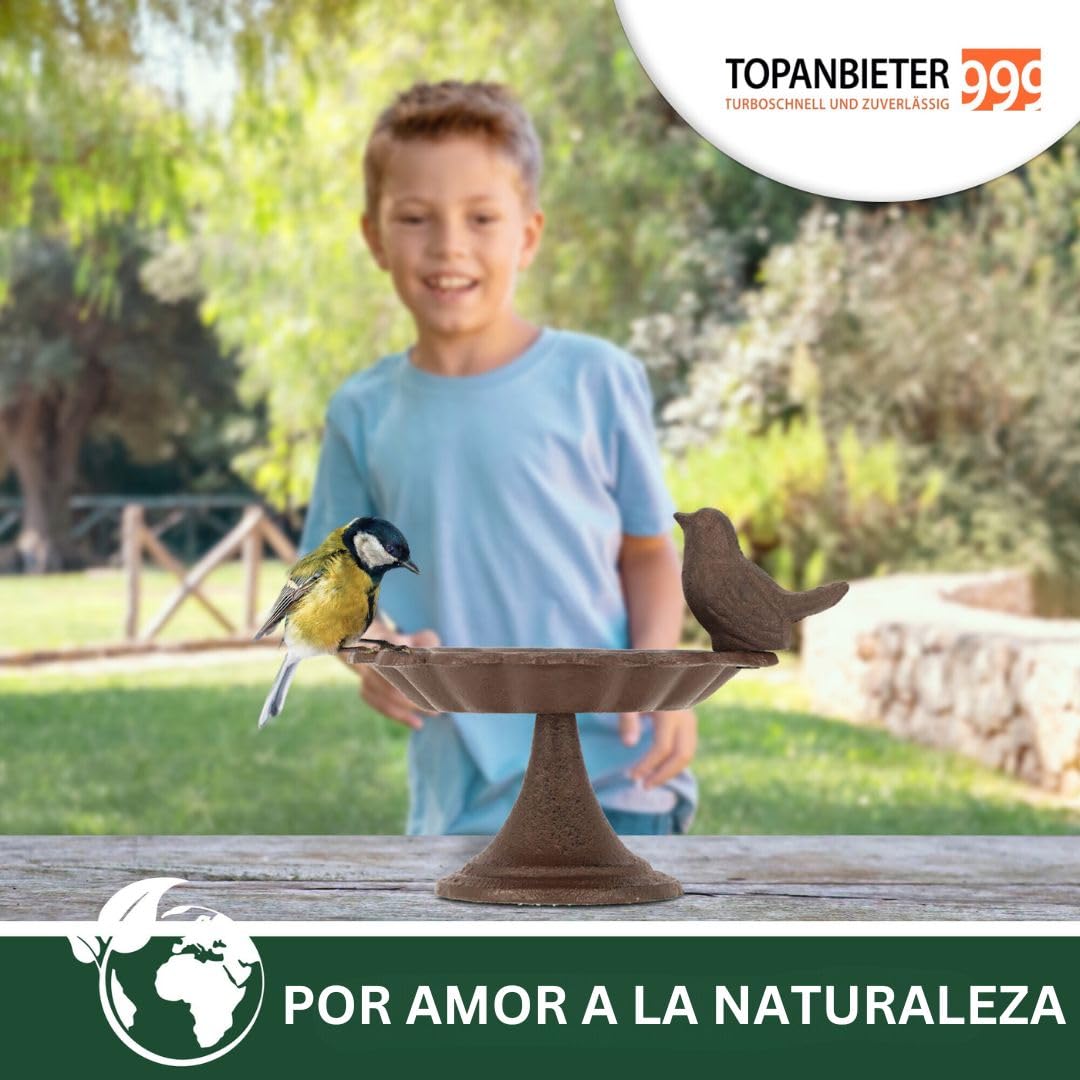 Bebedero para pájaros, bebedero de agua para pájaros silvestres, abrevadero, comedero, resistente a la intemperie y a las heladas (pájaro con pie)