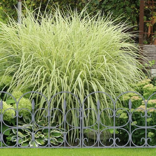Relaxdays Beetzaun, 6er Set, HxB: je 38 x 68,5 cm, Zierzaun Garten, zum Stecken, Beeteinfassung antik, Kunststoff, grau