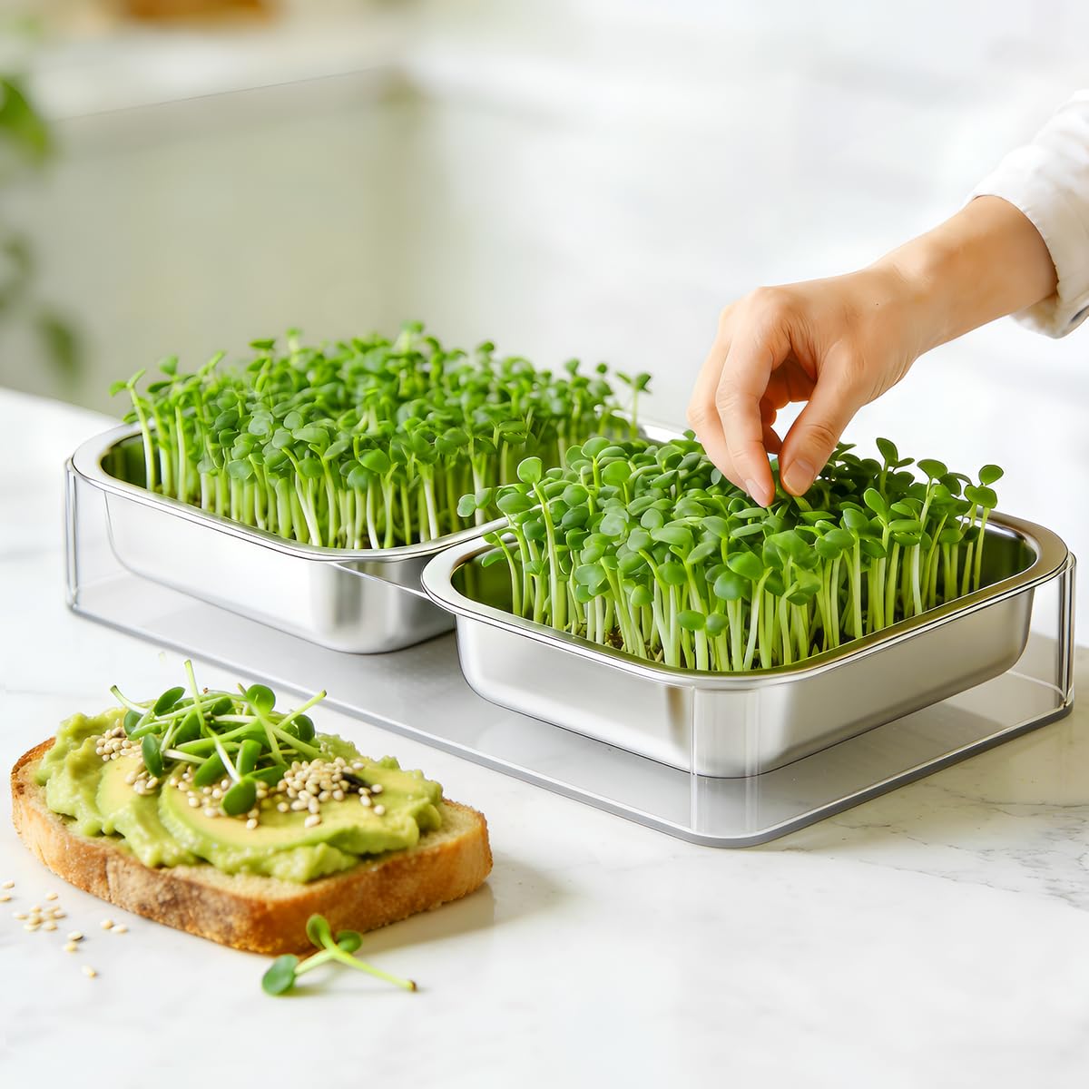 FANHAO Edelstahl Sprossen Anzuchtset mit Acrylschalen Microgreens Anzuchtset Edelstahl Pflanze Keimschale