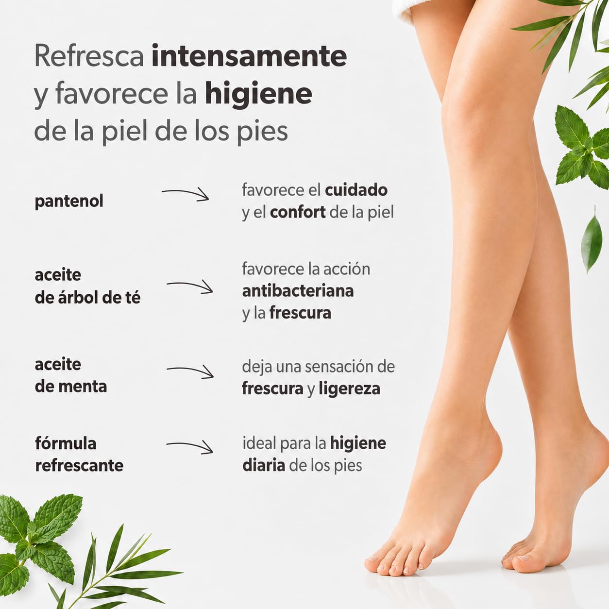 Spray Ambientador para Pies, Aroma a Menta, 8x250 ml