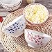 Whitenesser Japanese Rice Bowl Set of 4 Asian Style Hand-painted Floral Plum Ceramic Bowls For Dessert Snack Cereal Soup Sushi Sauce