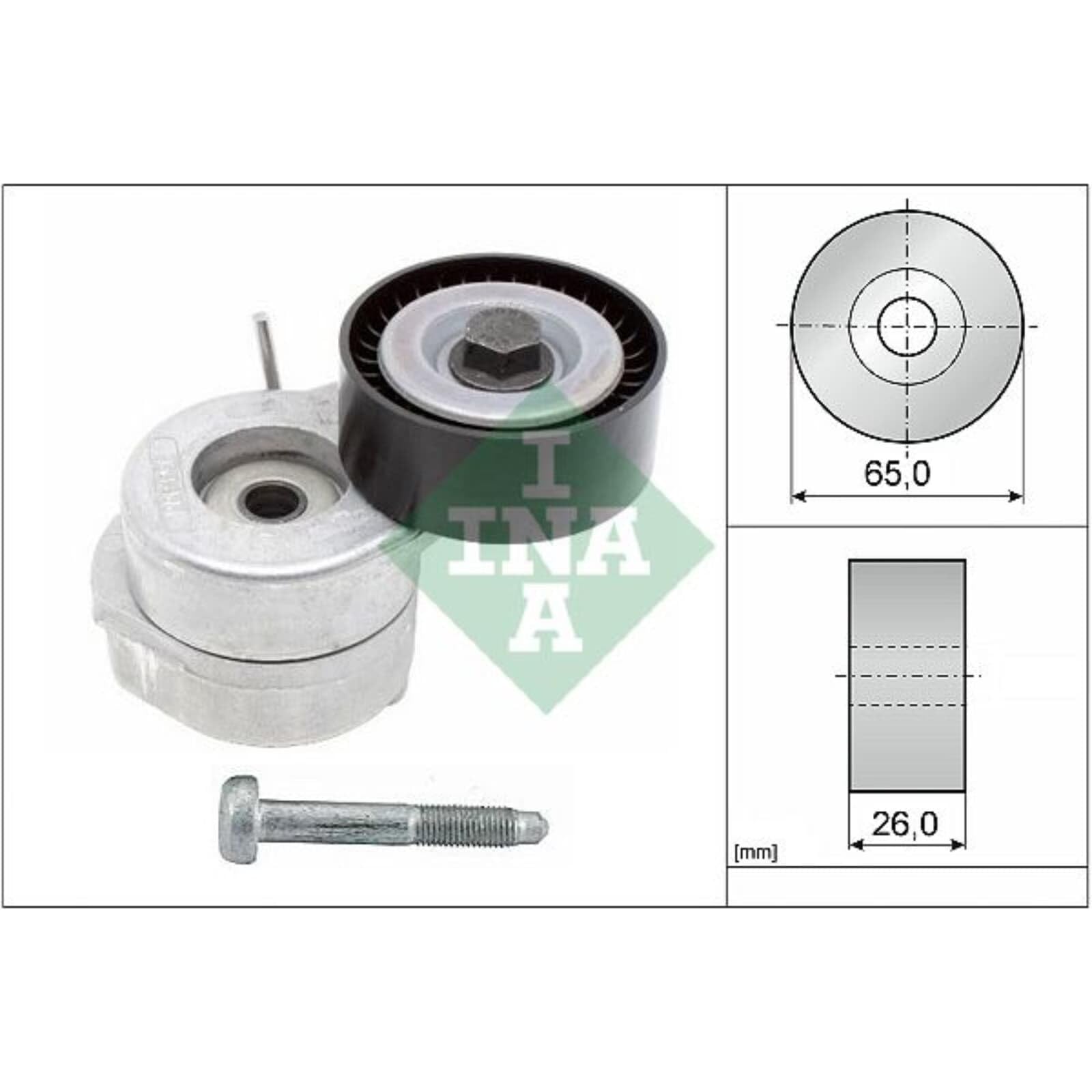 INA Kit Cinghie Poly-V 529 0286 10 1180mm Compatibilità con FIAT 500 312 PANDA 169 GRANDE PUNTO 199 PUNTO 188, ALFA ROMEO MITO 955