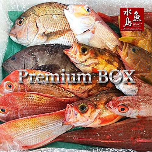 魚水島 厳選 日本海の鮮魚セット「海におまかせ・大漁箱 プレミアムBOX」大満足詰め合わせ 魚水島 厳選 日本海の鮮魚セット「海におまかせ・大漁箱 プレミアムBOX」大満足詰め合わせ