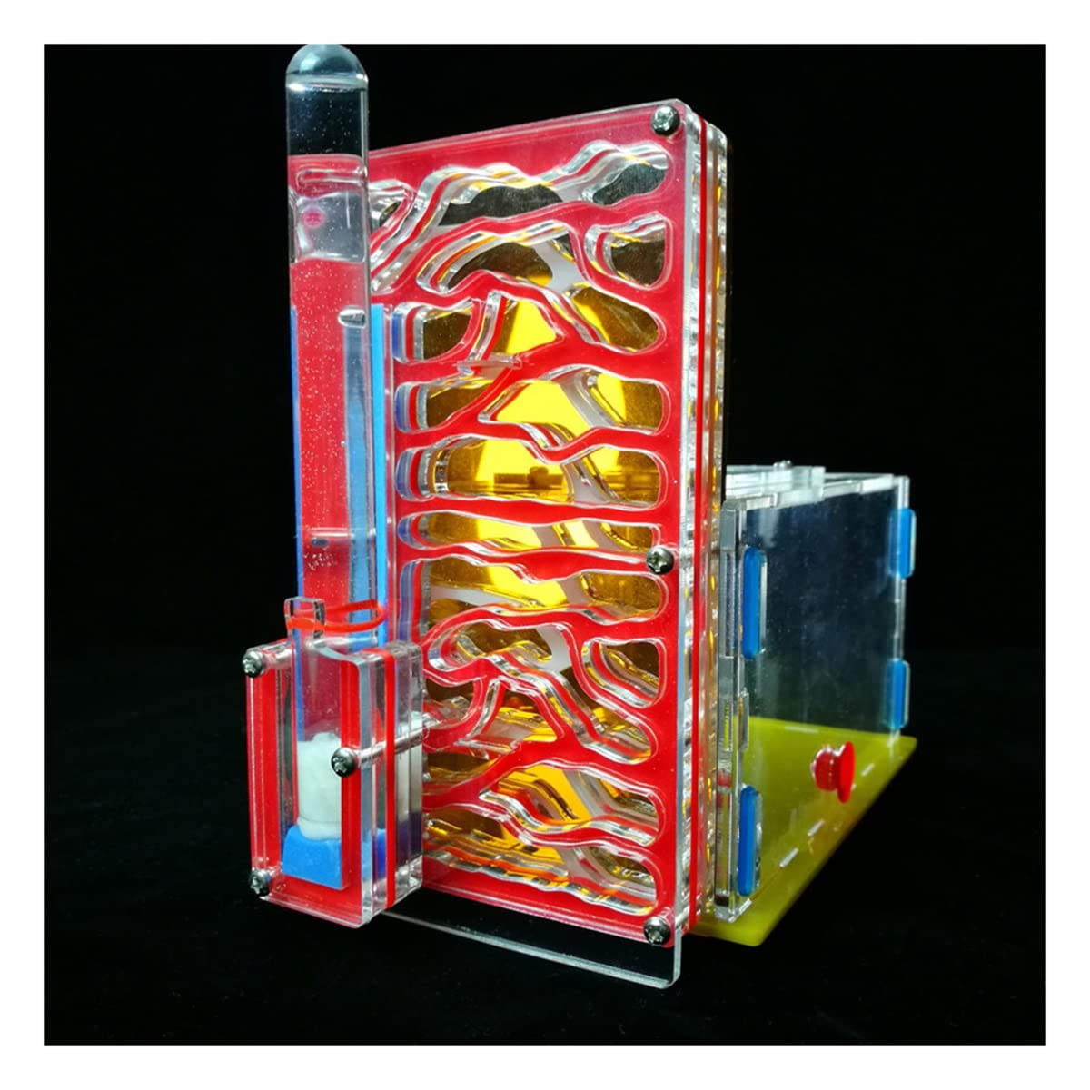 Amazon | アリの巣 蟻 飼育ケース 観察キットアリの巣 昆虫