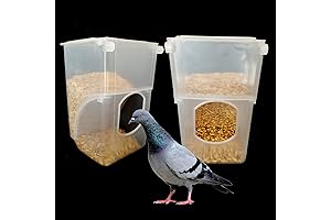 Automatic J Feeders for Quail