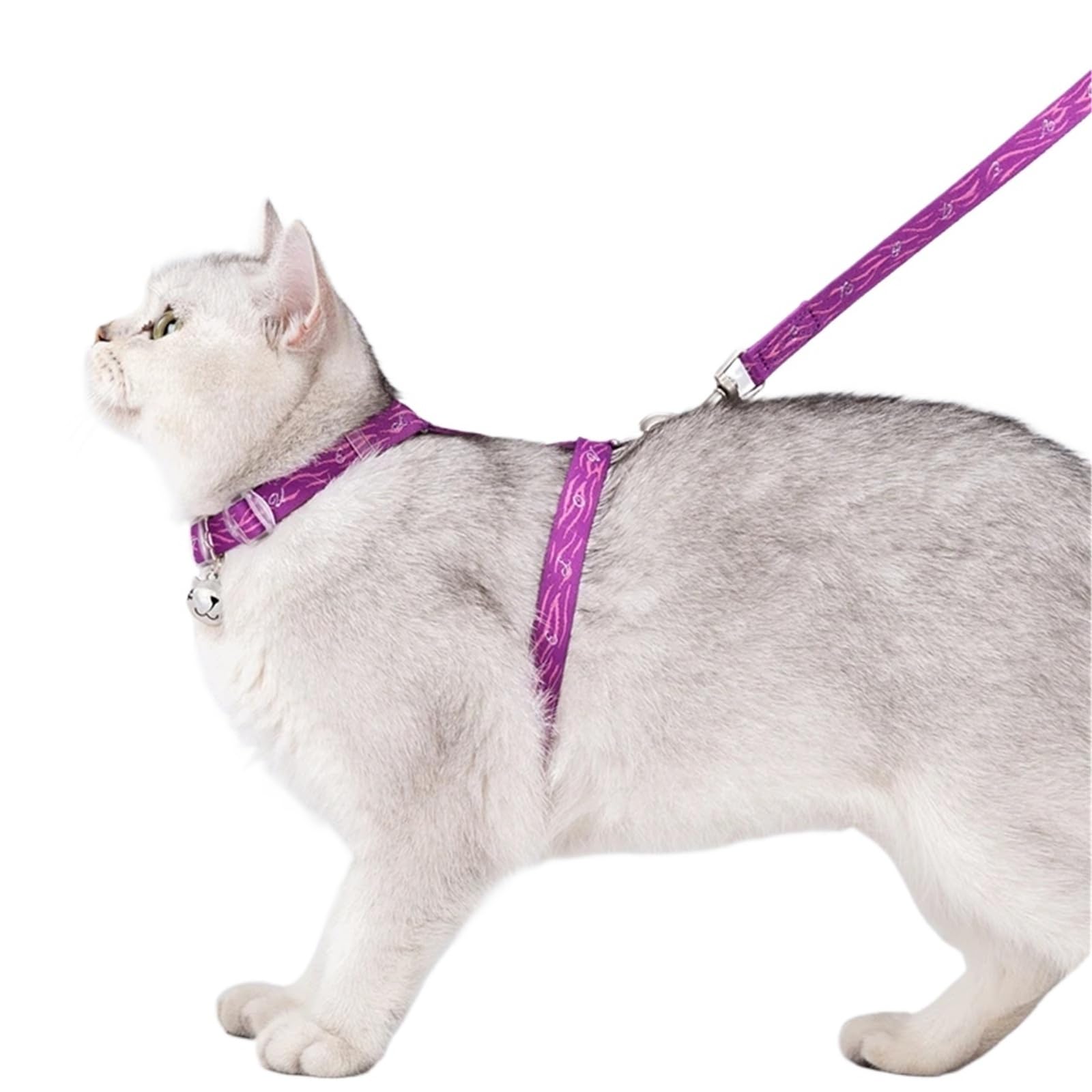 Truelove Pet TLH3912 Ensemble harnais et laisse en forme de H – Style gilet anti-évasion pour chats chiots maison et extérieur (bleu)