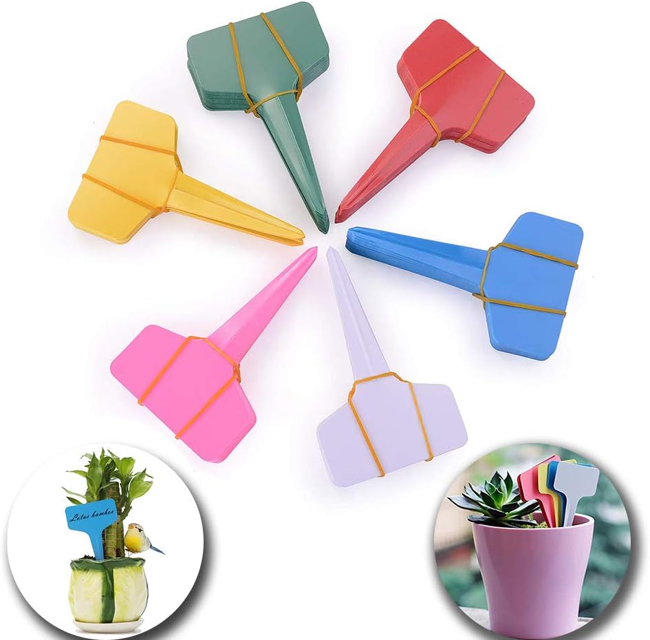 Blufied 100枚 園芸用ラベル 植物ラベル たんざくラベル 立型ラベル 園芸ラベル 鉢植 ガーデニング 植物タグ 防水 Pvc 再使用可能 盆栽タグ 白 新発売の Blufied 100枚 園芸用ラベル 植物ラベル たんざくラベル 立型ラベル 園芸ラベル 鉢植 ガーデニング 植物タグ 防水 Pvc 再使用可能 盆栽タグ 白 新発売の