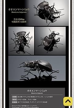 Amazon.co.jp: オオエンマハンミョウ いきもの大図鑑 くわがた05