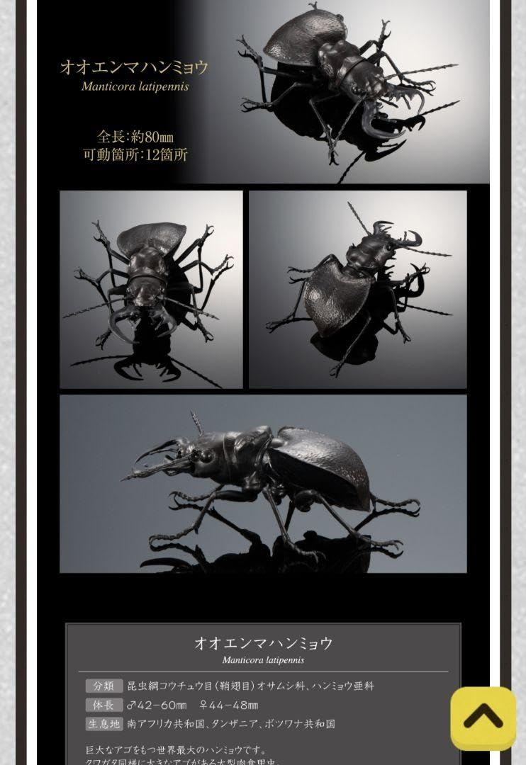 Amazon.co.jp: オオエンマハンミョウ いきもの大図鑑 くわがた05 昆虫