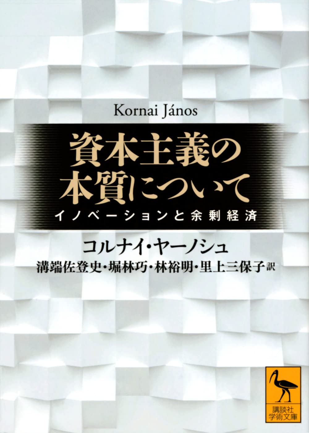 資本主義の本質について イノベーションと余剰経済 (講談社学術文庫