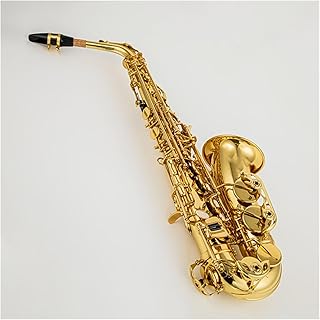 Professional Saxophone Professional Eb Alto Saxophone Brass Wind Music Instrument Gold Lacquer E-flat Sax With Case And Accessories