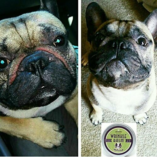 Natural Dog Company - Wrinkle Balm | Cleans and Soothes Dog Wrinkles and Skin Folds, Perfect for Bulldogs, All Natural, Organic Ingredients 0.15oz Travel Stick